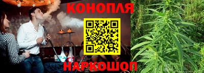 прущие грибы Лесосибирск
