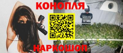 прущие грибы Лесосибирск
