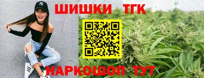 спиды Ливны