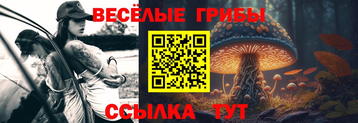 Псилоцибиновые грибы прущие грибы Дедовск